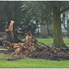 Sturmschaden auch im Schlosspark