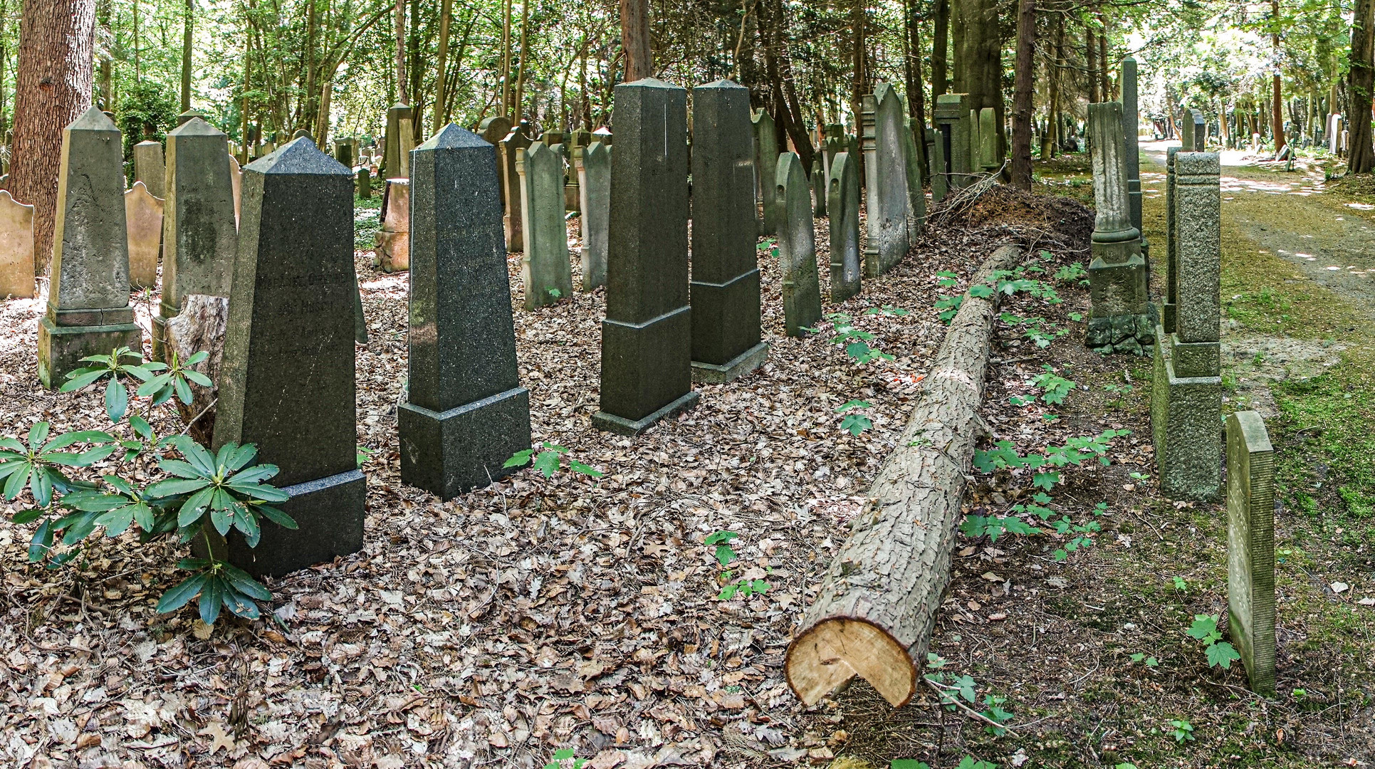 Sturmschaden auf einem Friedhof