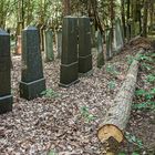 Sturmschaden auf einem Friedhof