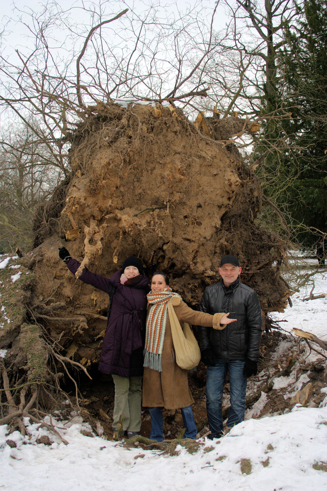 Sturmschaden durch Sturm Xynthia im Schlossgarten 03