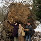 Sturmschaden durch Sturm Xynthia im Schlossgarten 03