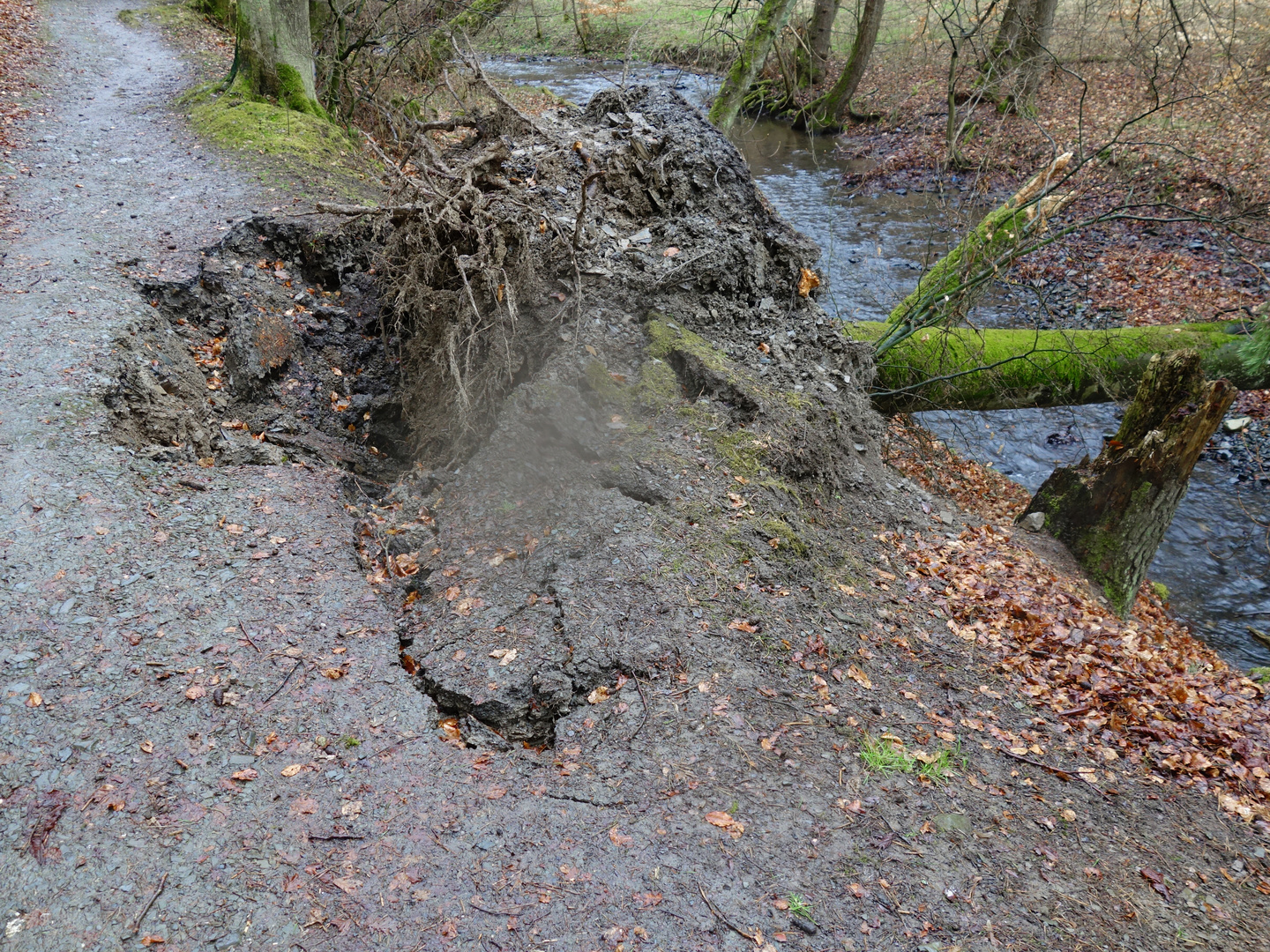 Sturmschaden im Frühling -