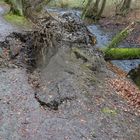 Sturmschaden im Frühling -