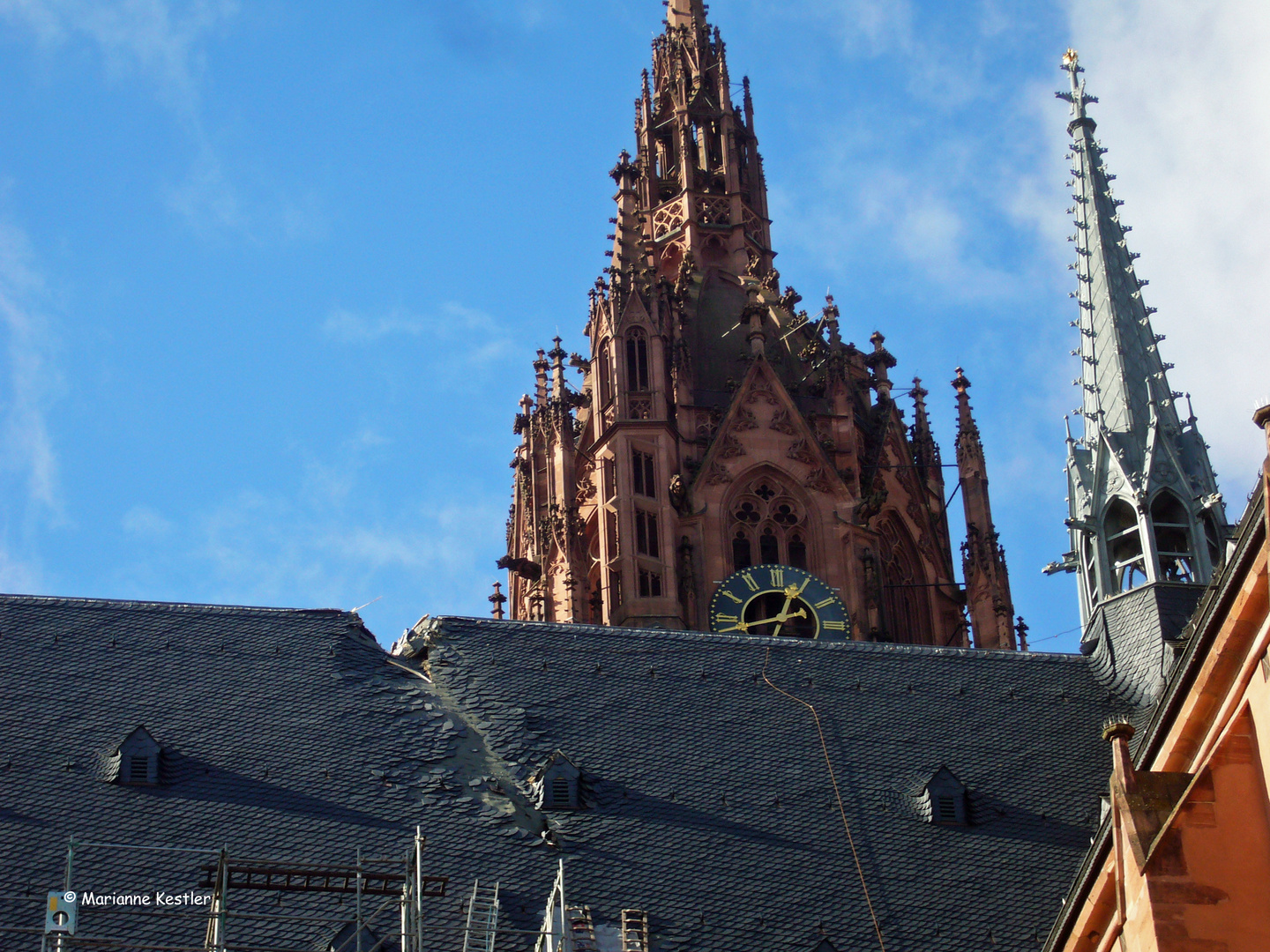 Sturmschaden in Frankfurt - 1 -