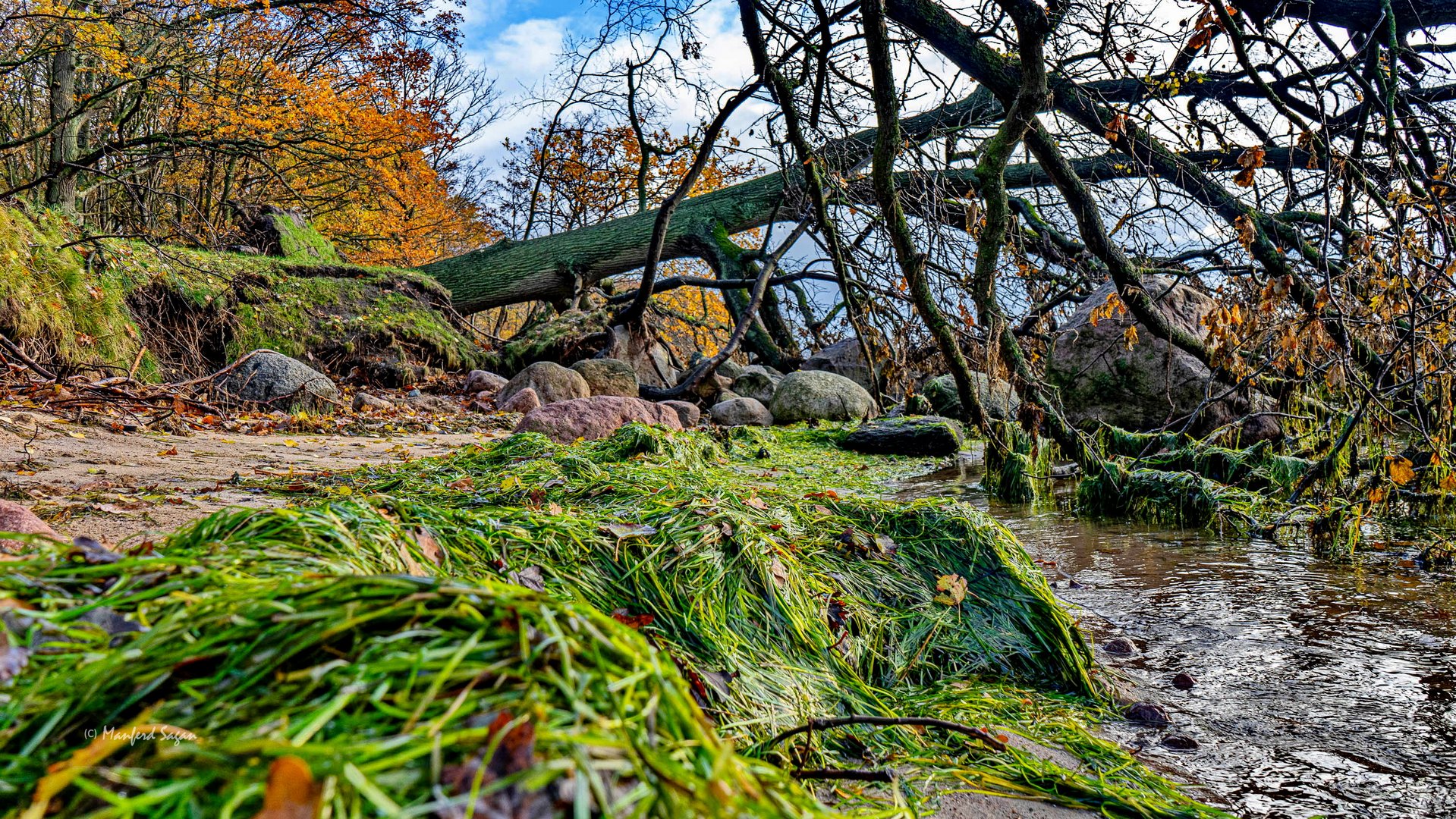 Sturmschäden am Greifswalder Bodden... 