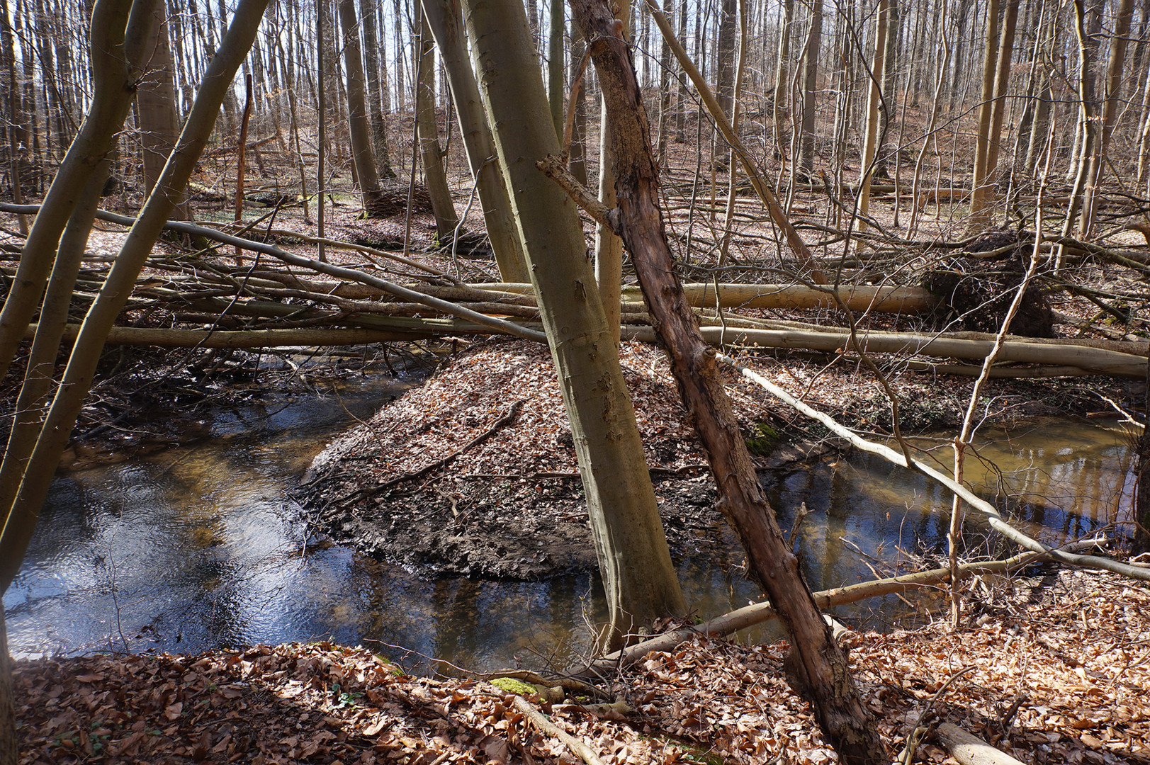 Sturmschäden am Wasserlauf