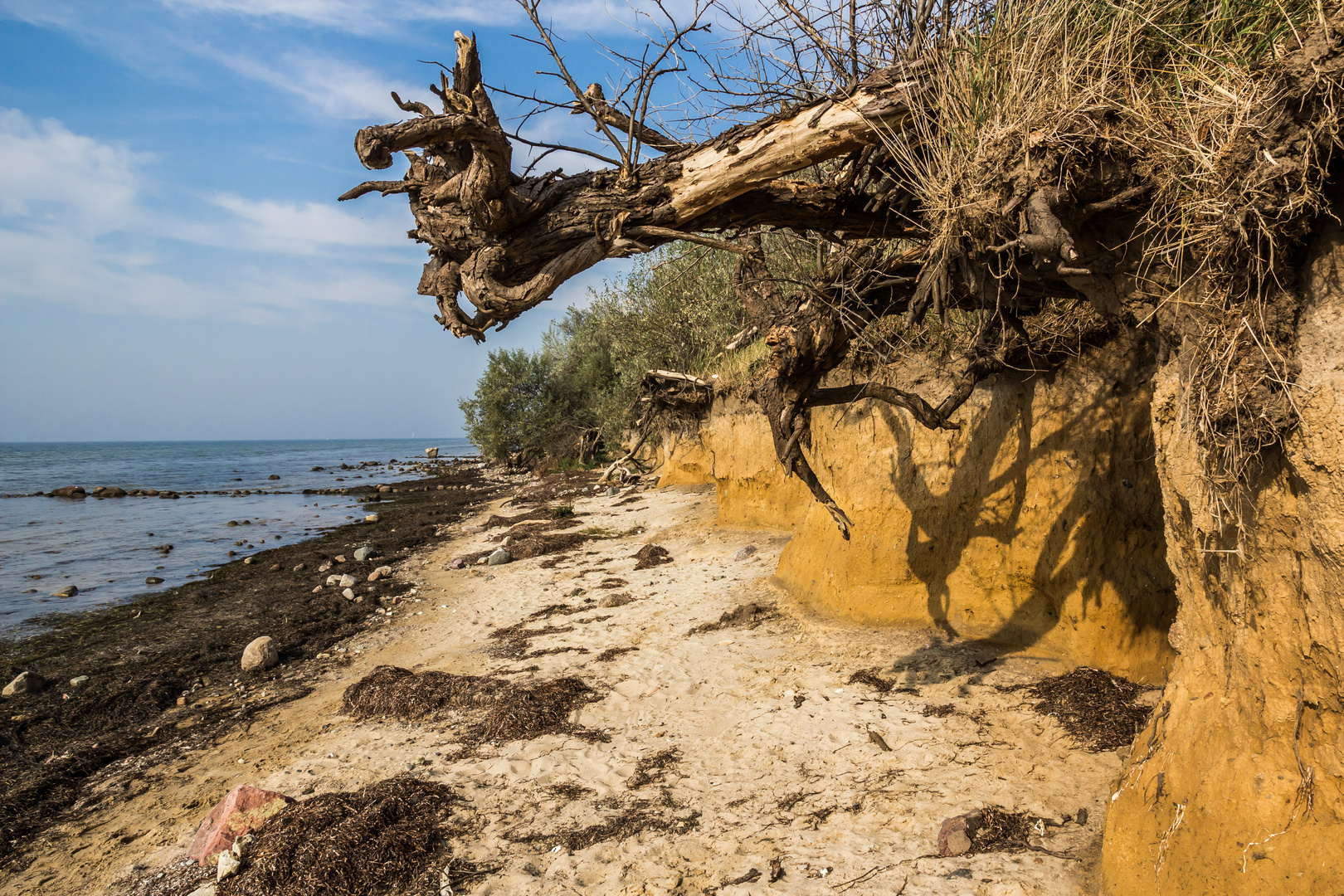 Sturmschäden an der Küste der Insel Poel