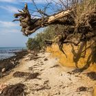 Sturmschäden an der Küste der Insel Poel