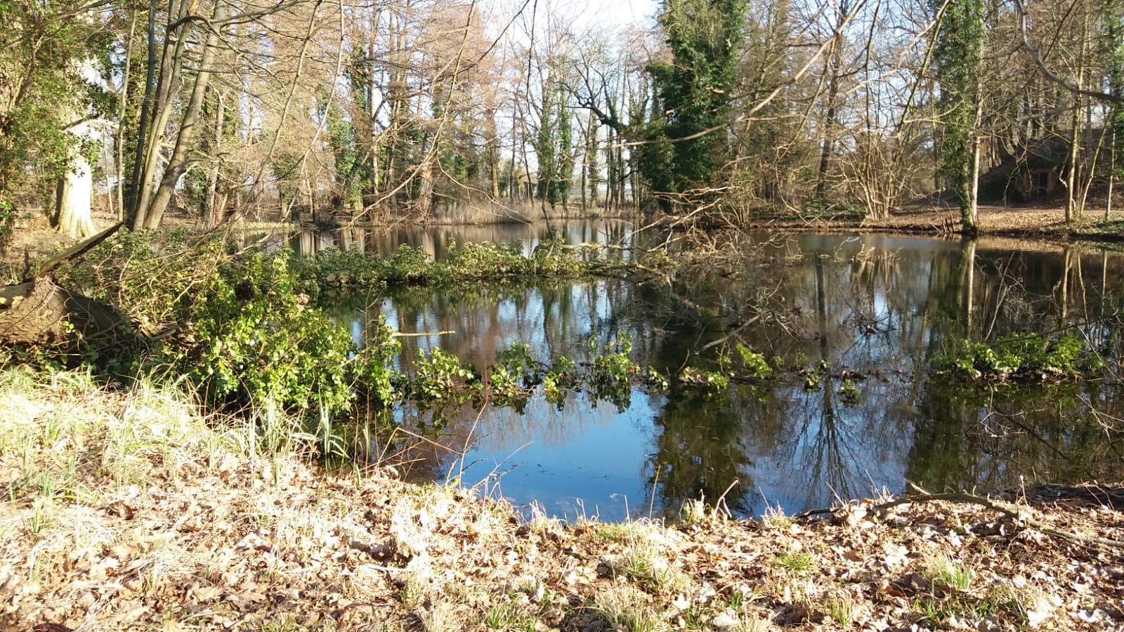 Sturmschäden im Park