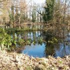 Sturmschäden im Park