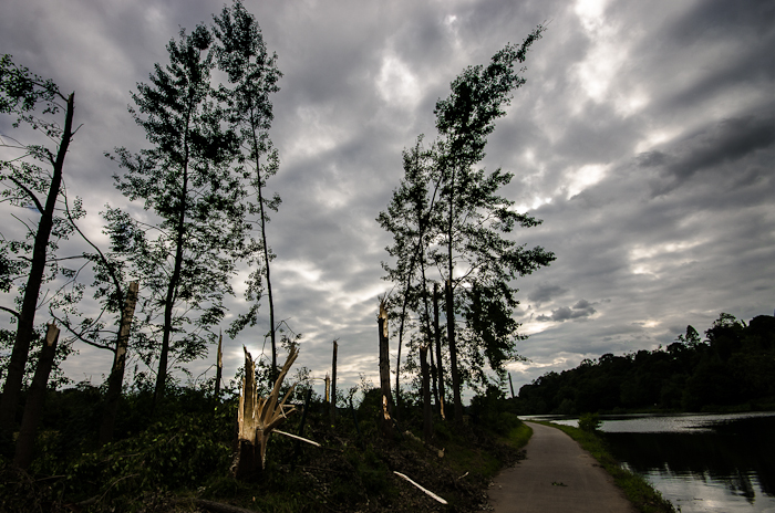 Sturmschmerz (06.2014 an der Ruhr)