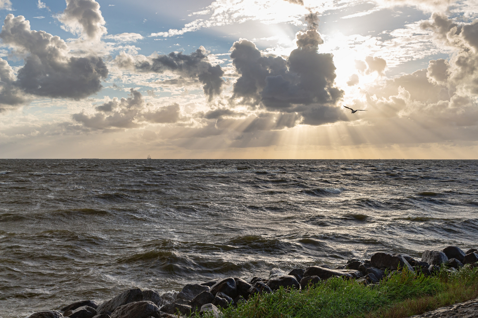 Sturmtag am Ijsselmeer