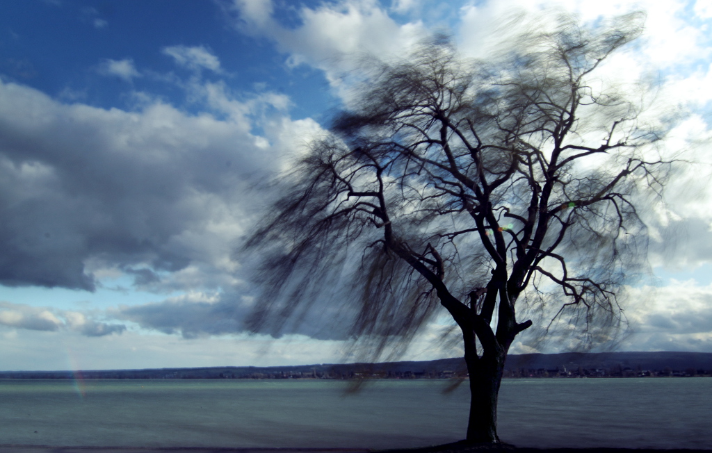 Sturmtief am Bodensee - storm front at Lake Constance