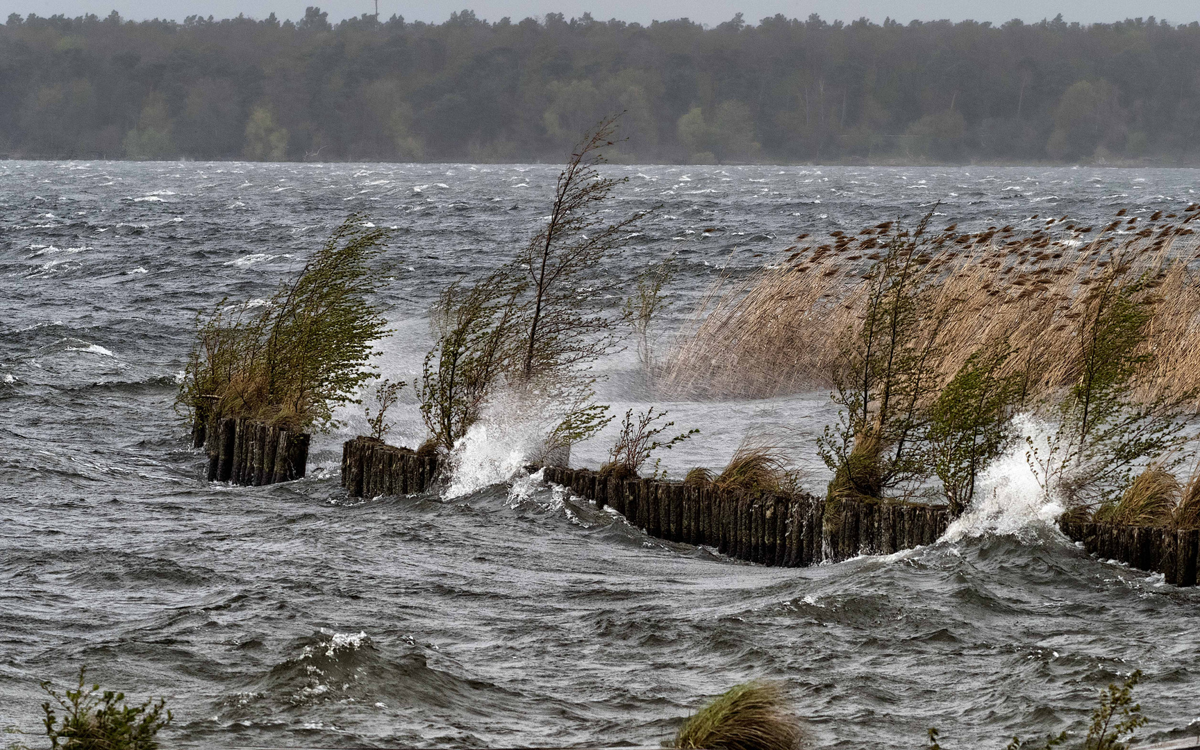 Sturmtief Eugen fegt über den Müggelsee