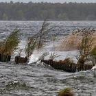 Sturmtief Eugen fegt über den Müggelsee