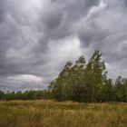 Sturmtief "Kirsten" rauscht über´s Land