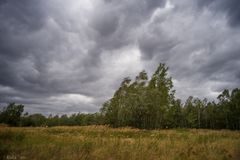 Sturmtief "Kirsten" rauscht über´s Land