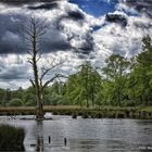 Sturmtief über dem Naturpark Schwalm-Nette ....