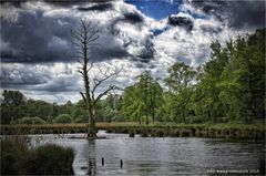 Sturmtief über dem Naturpark Schwalm-Nette ....