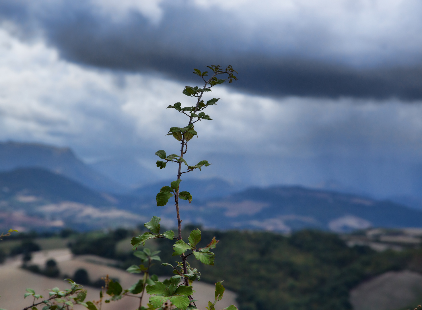 Sturmtief ueber Italien...