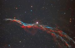 Sturmvogel im Cirrusnebel (NGC 6960 / Sternbild Schwan)