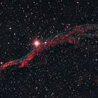 Sturmvogel NGC 6960