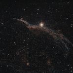 Sturmvogel (NGC6960) - neue Bearbeitung