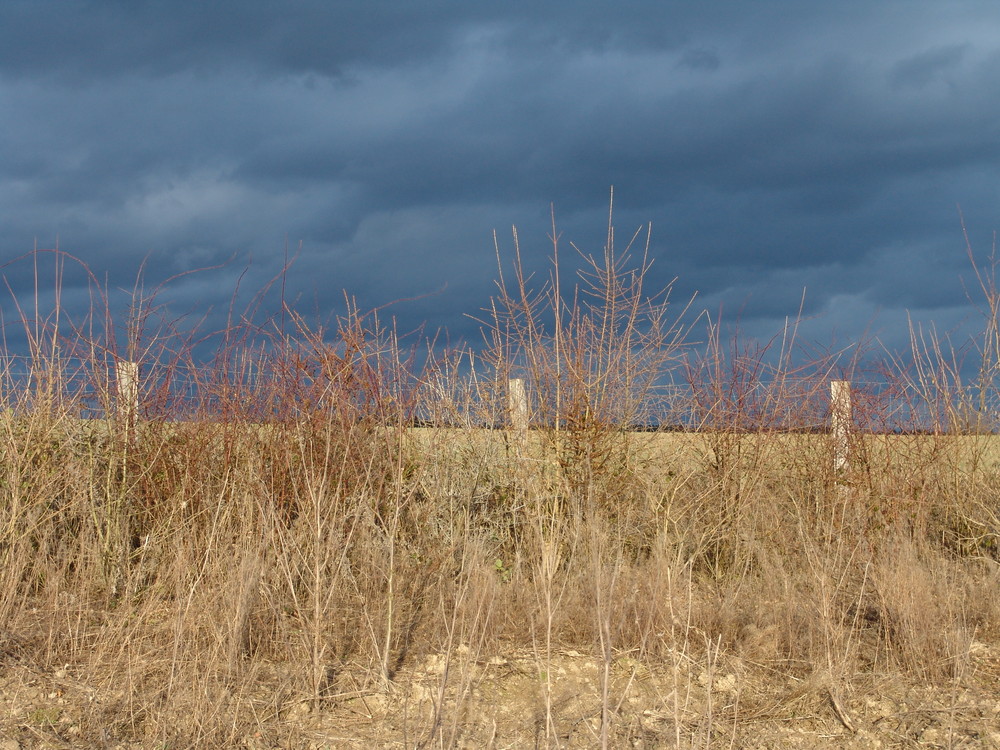 Sturmwolken