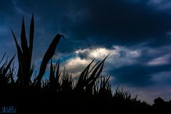 Sturmwolken über Leichlingen