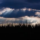 Sturmwolken über Leichlingen