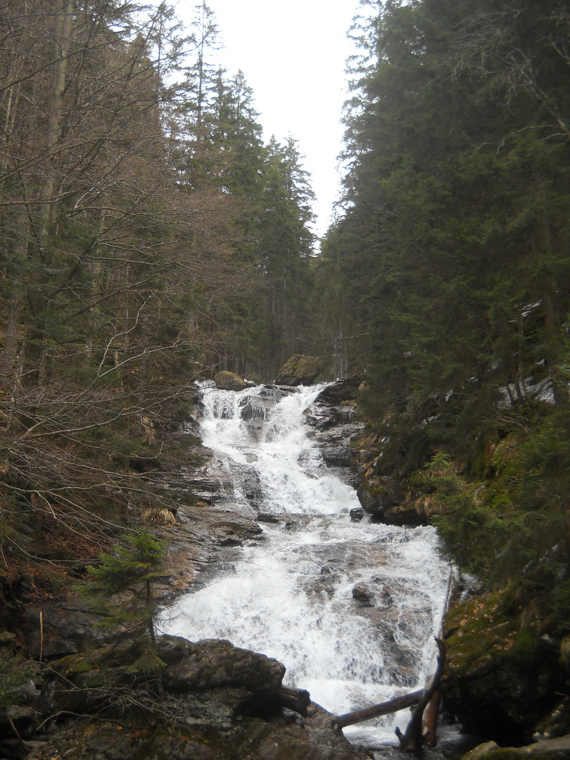 Sturzbach im Bayerischen Wald