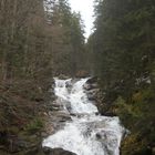 Sturzbach im Bayerischen Wald