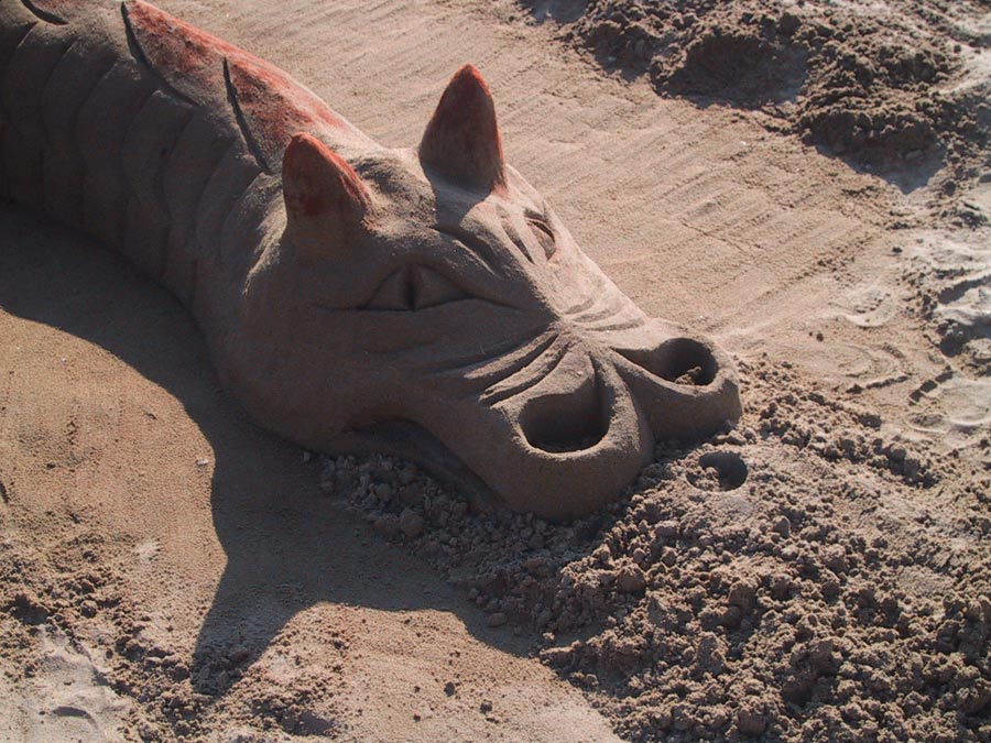 Sturzflug in den Sand