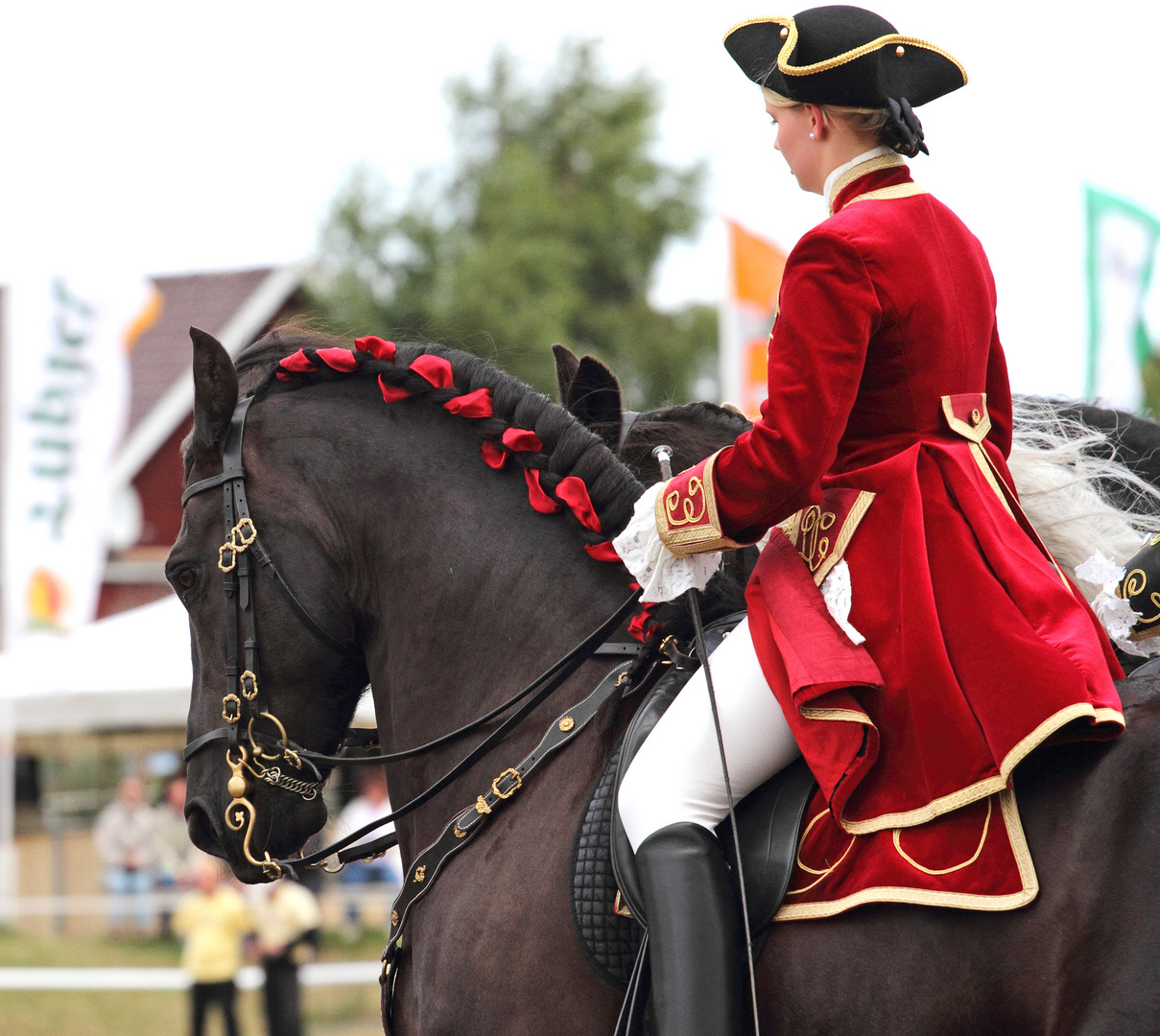 Stutenparade in Ganschow-Schauprogramm