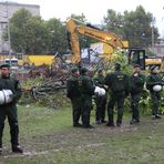 Stuttgart 1.10 8.20h gefällte Bäume in Park - K21