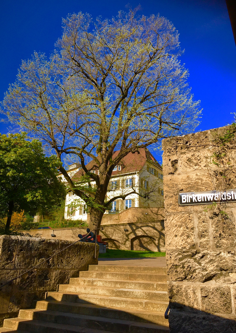 Stuttgart Ansichten