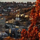 STUTTGART ANSICHTEN IM HERBST