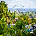 Stuttgart dreht am Rad