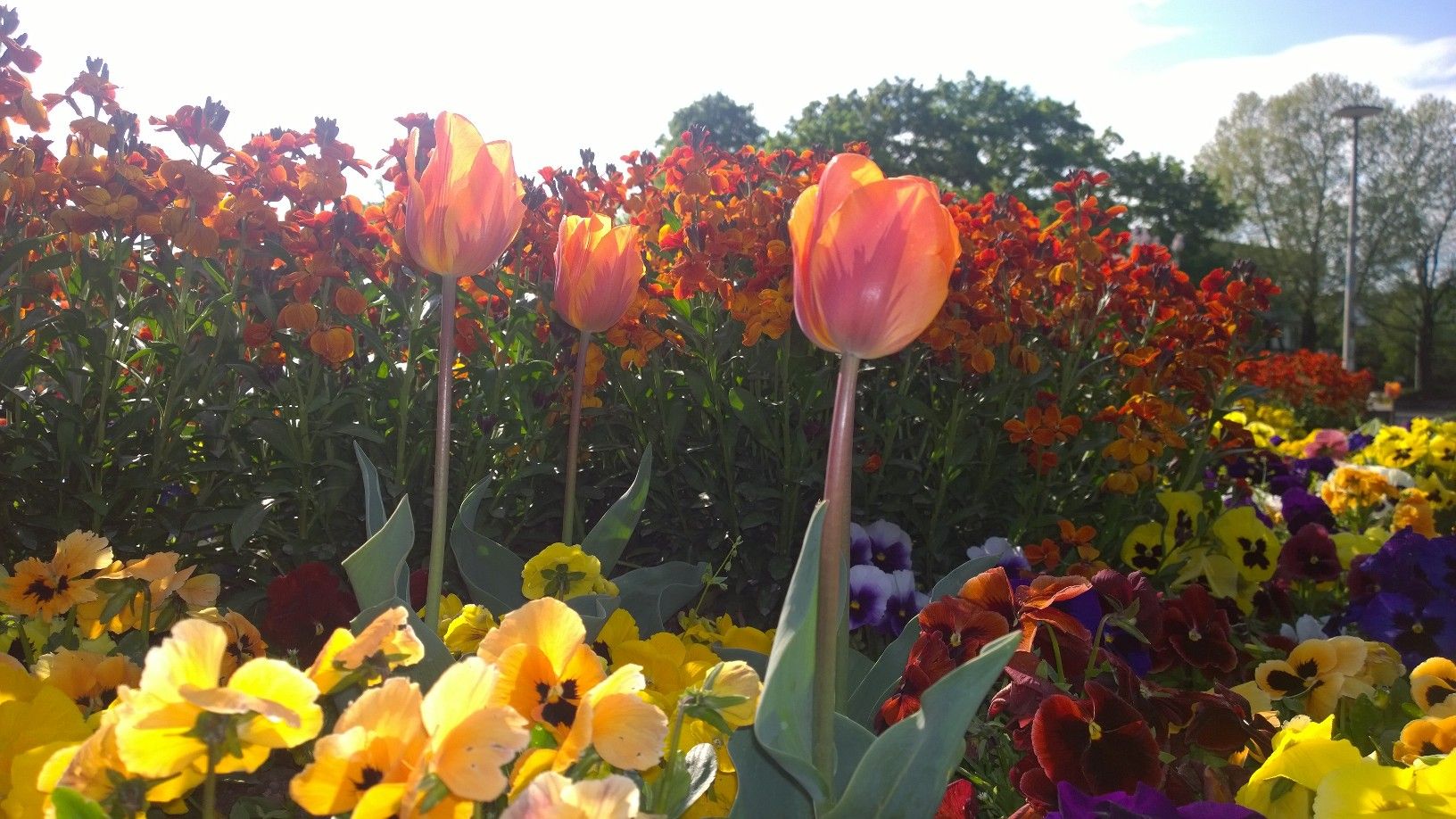 Stuttgart im Frühling