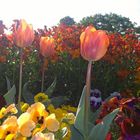 Stuttgart im Frühling