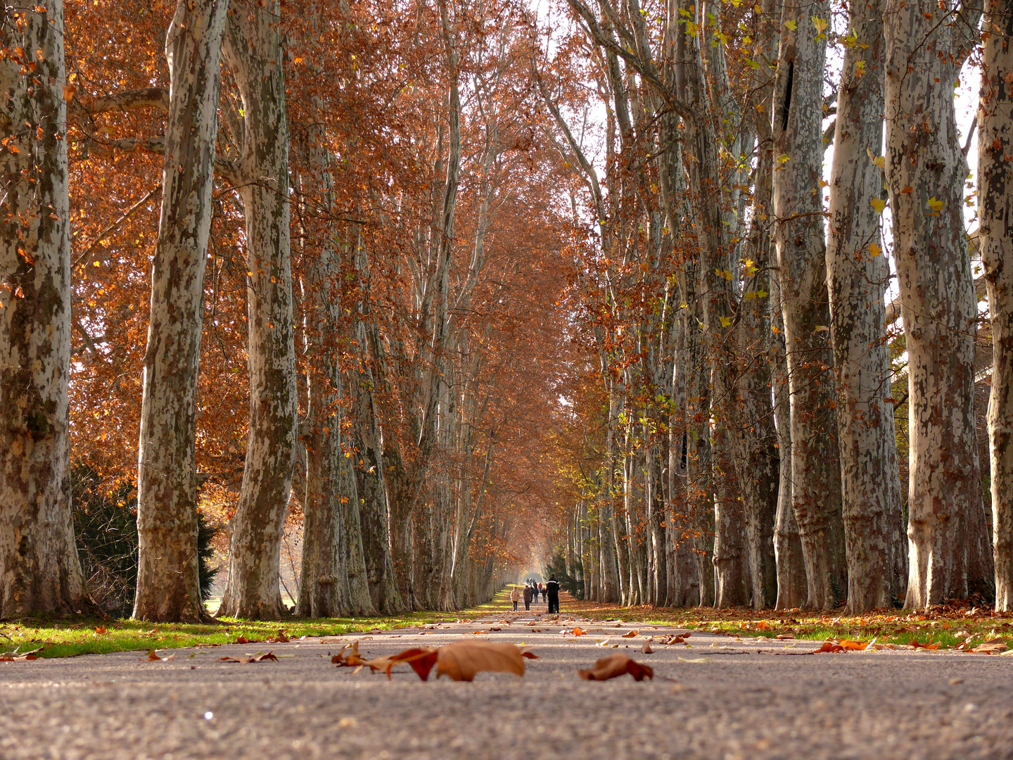 Stuttgart im Herbst