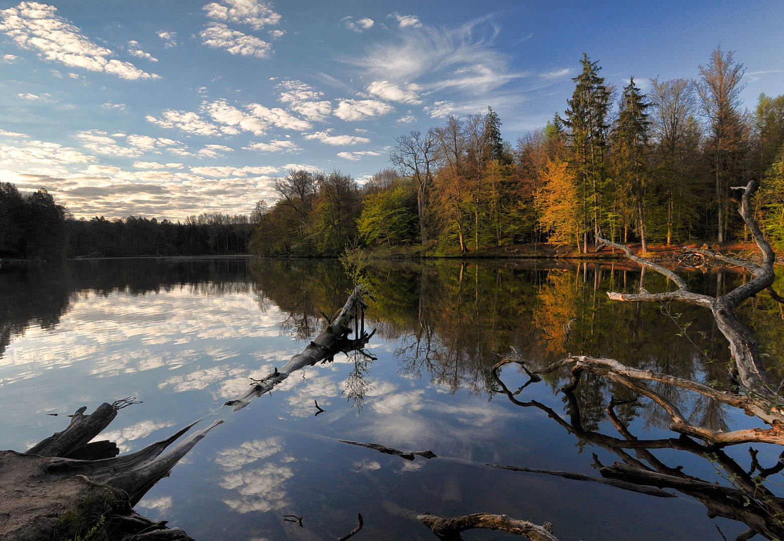 Stuttgart, Pfaffensee