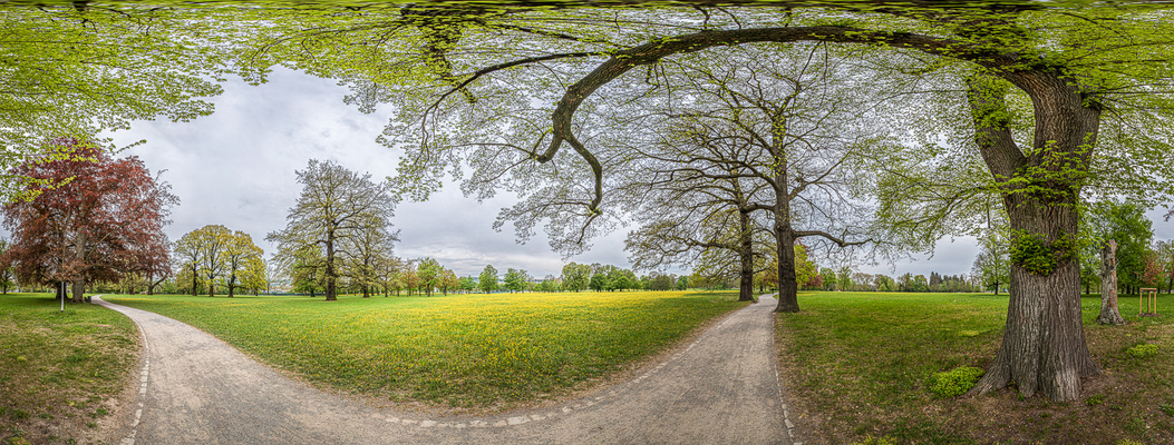 Stuttgart Rosensteinpark