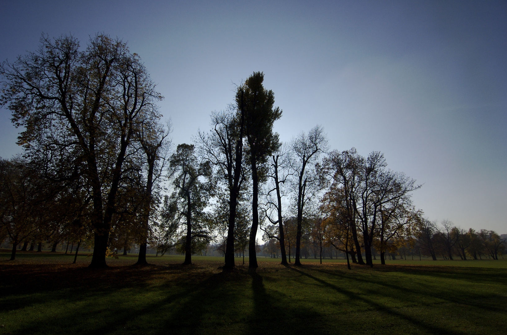 Stuttgart Rosensteinpark im Gegenlicht