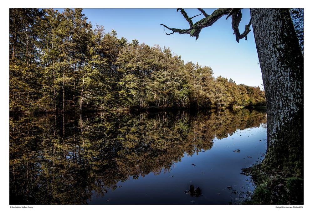 Stuttgart Steinbachsee im Oktober 2014