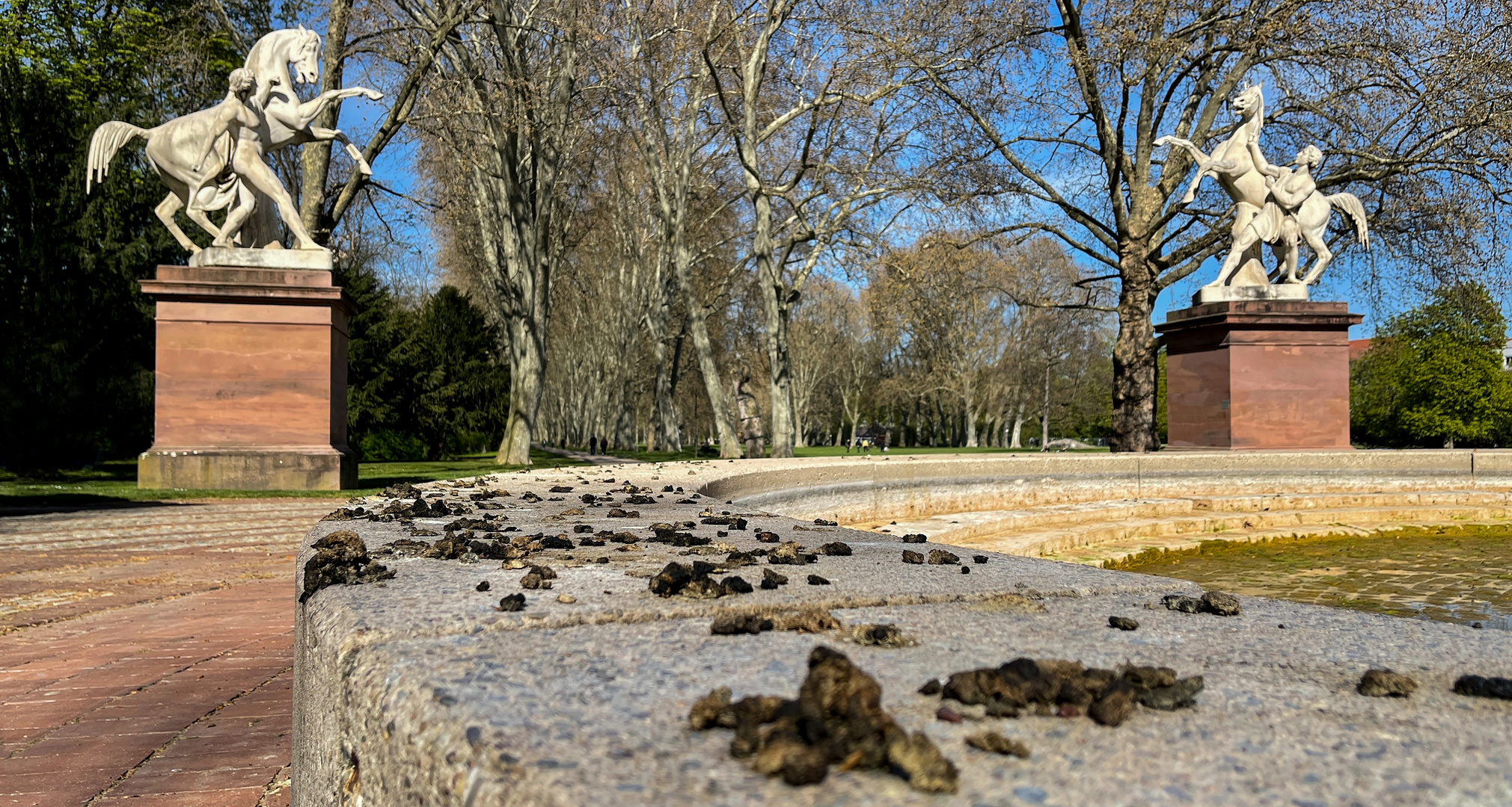 Stuttgart und die Nilgänse