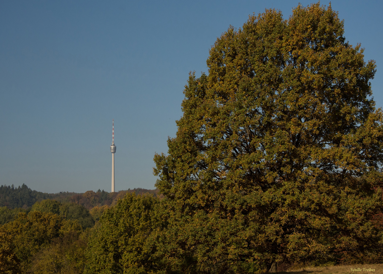 Stuttgarter Herbstimpressionen