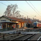 Stuttgarter Rössle in historischer Umgebung