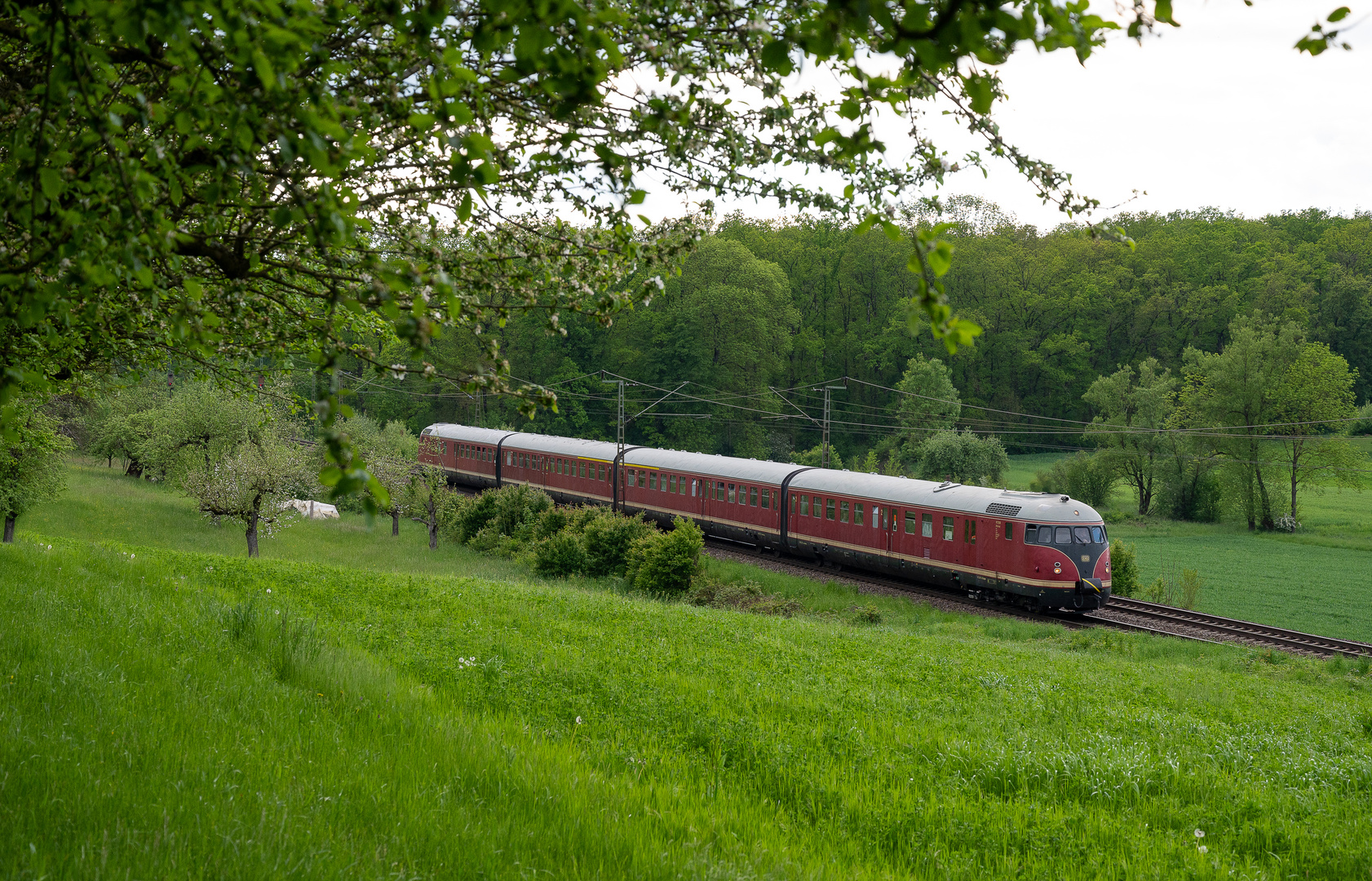 Stuttgarter Rössle on Tour