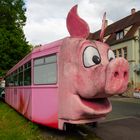 Stuttgarter Schweine-Museum